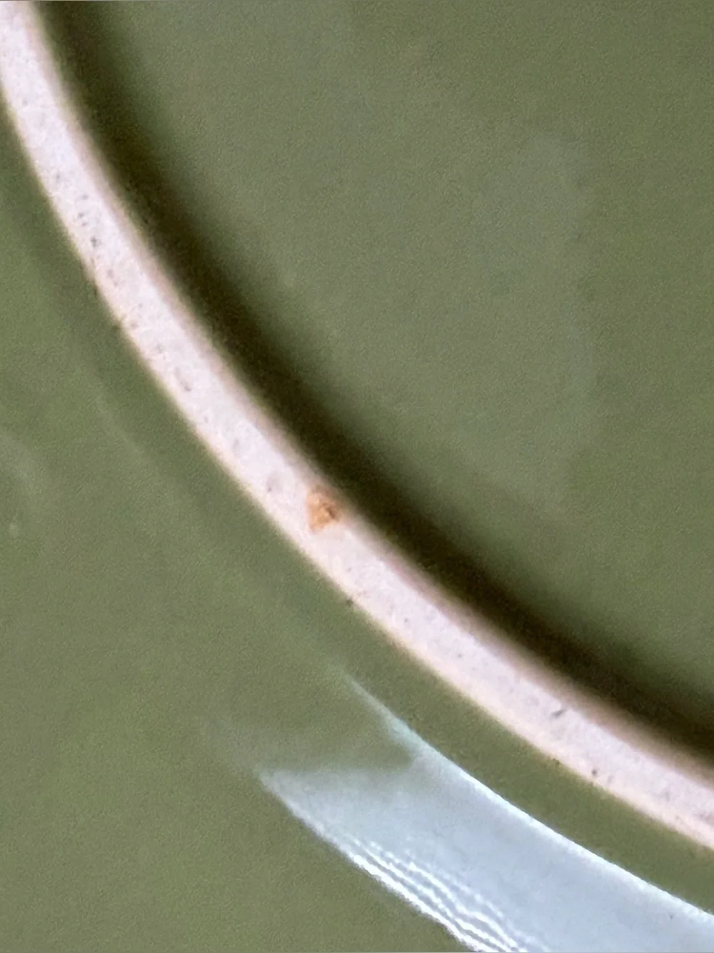Signature Housewares Sorrento Dinner Plate Oregano Green 11.25” Rustic Farmhouse